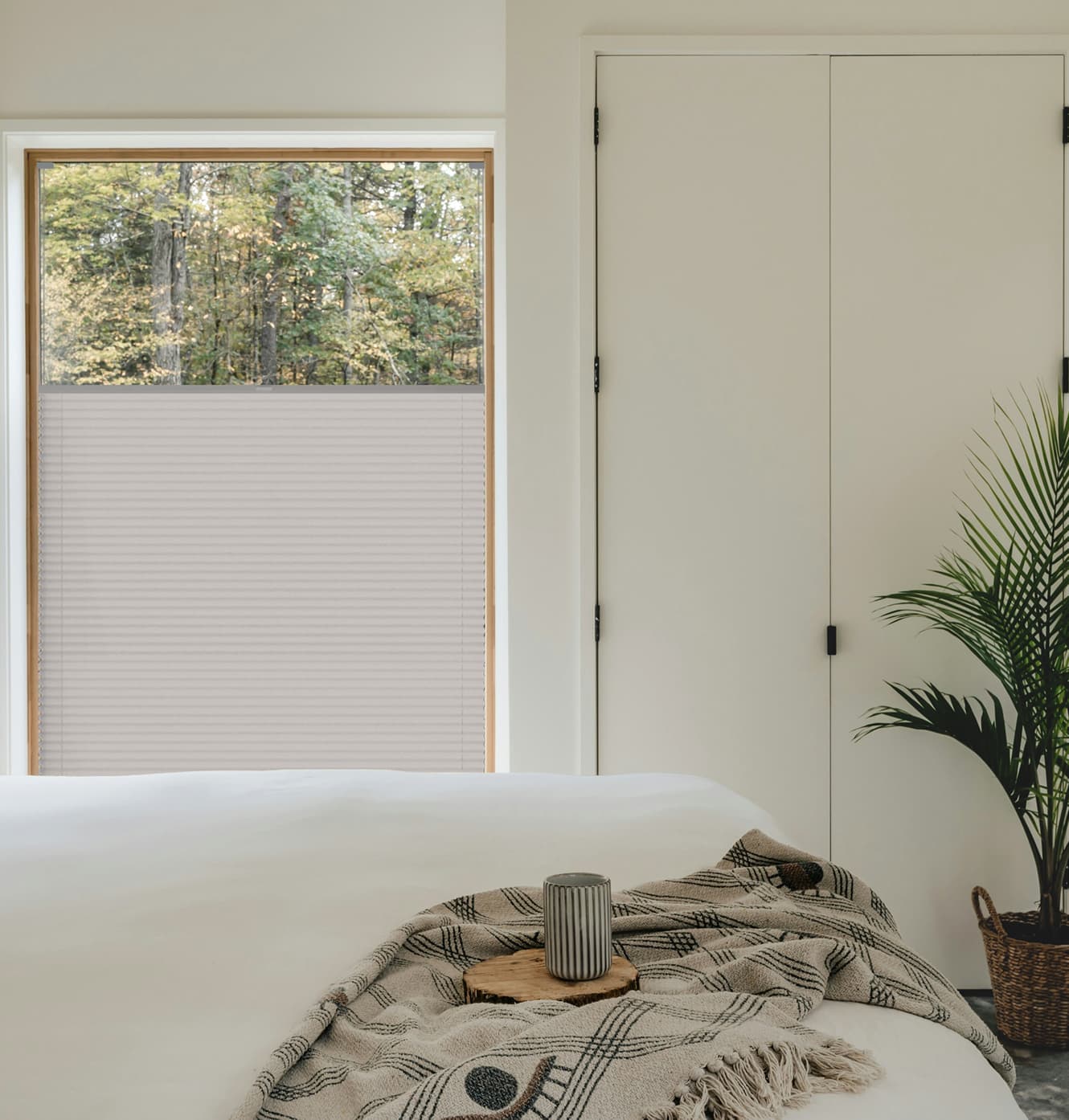Pleated Blinds - Standard