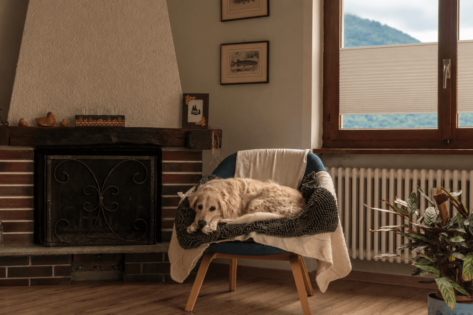 Herbstliche Einrichtung 2026 – so wird dein Zuhause warm und gemütlich