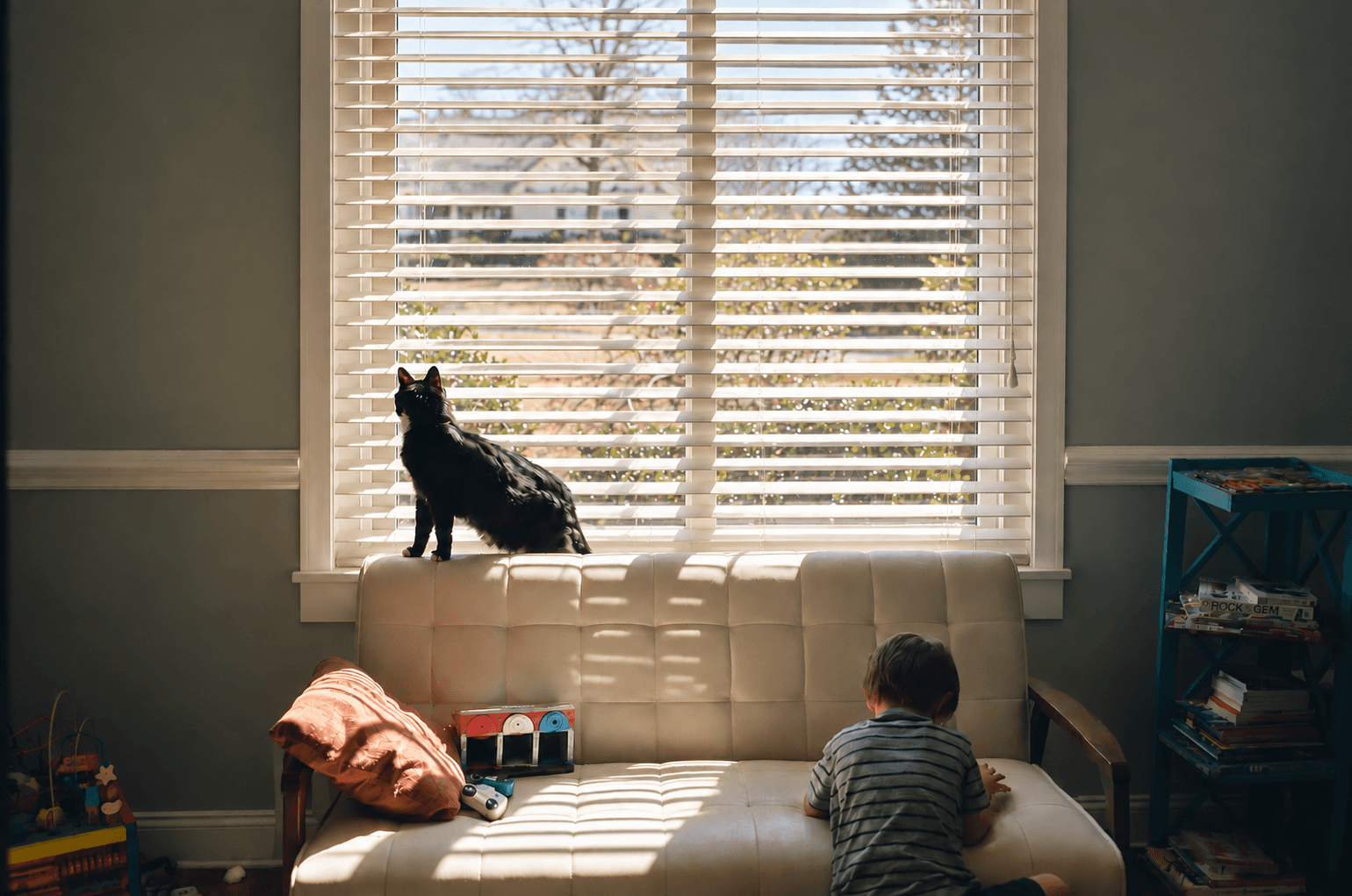 Child Safety – Safe Blinds for Homes with Children