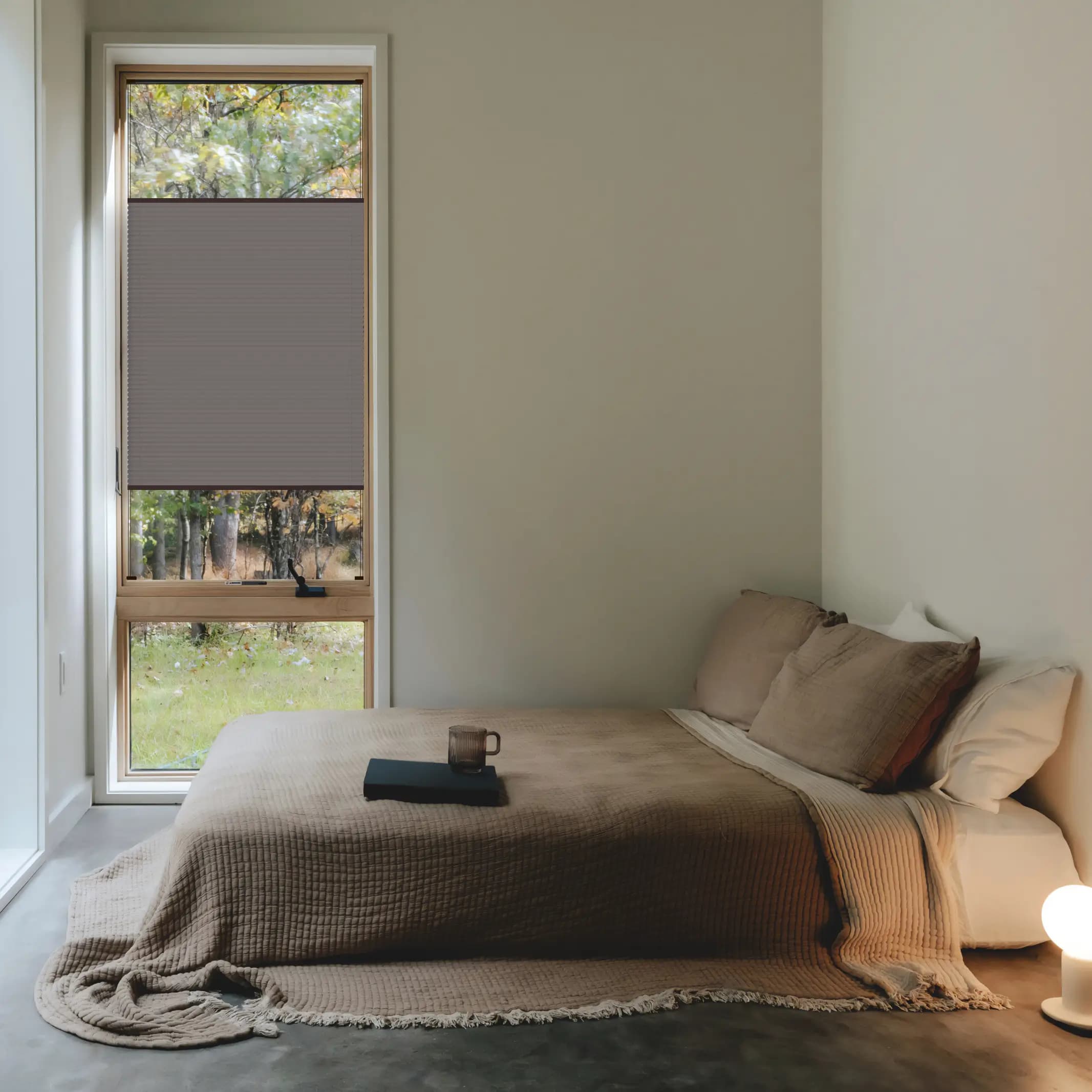 Ashwood BO + mahagony brown profile