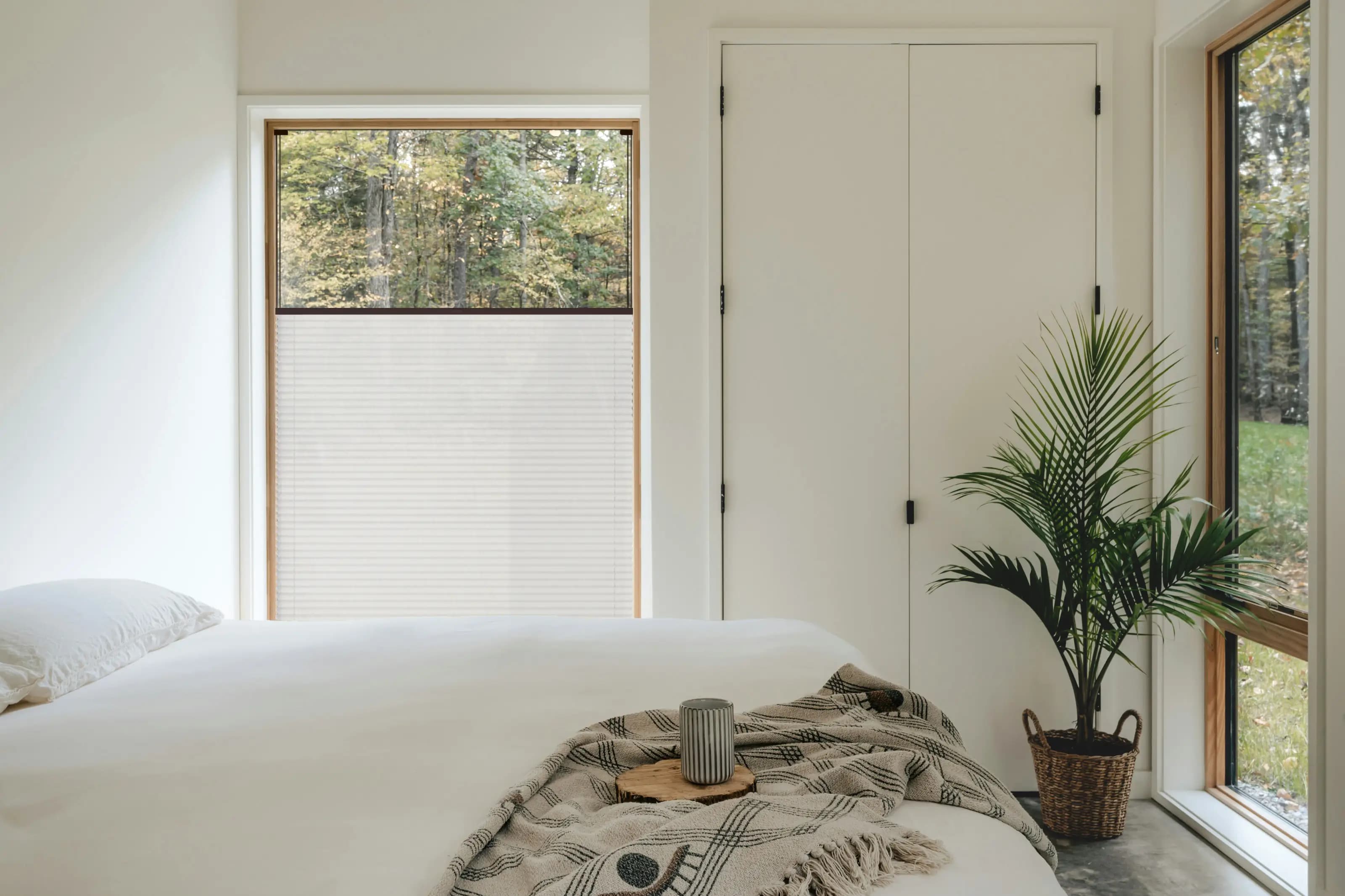 Oat Pearl + mahagonibraunes Profil