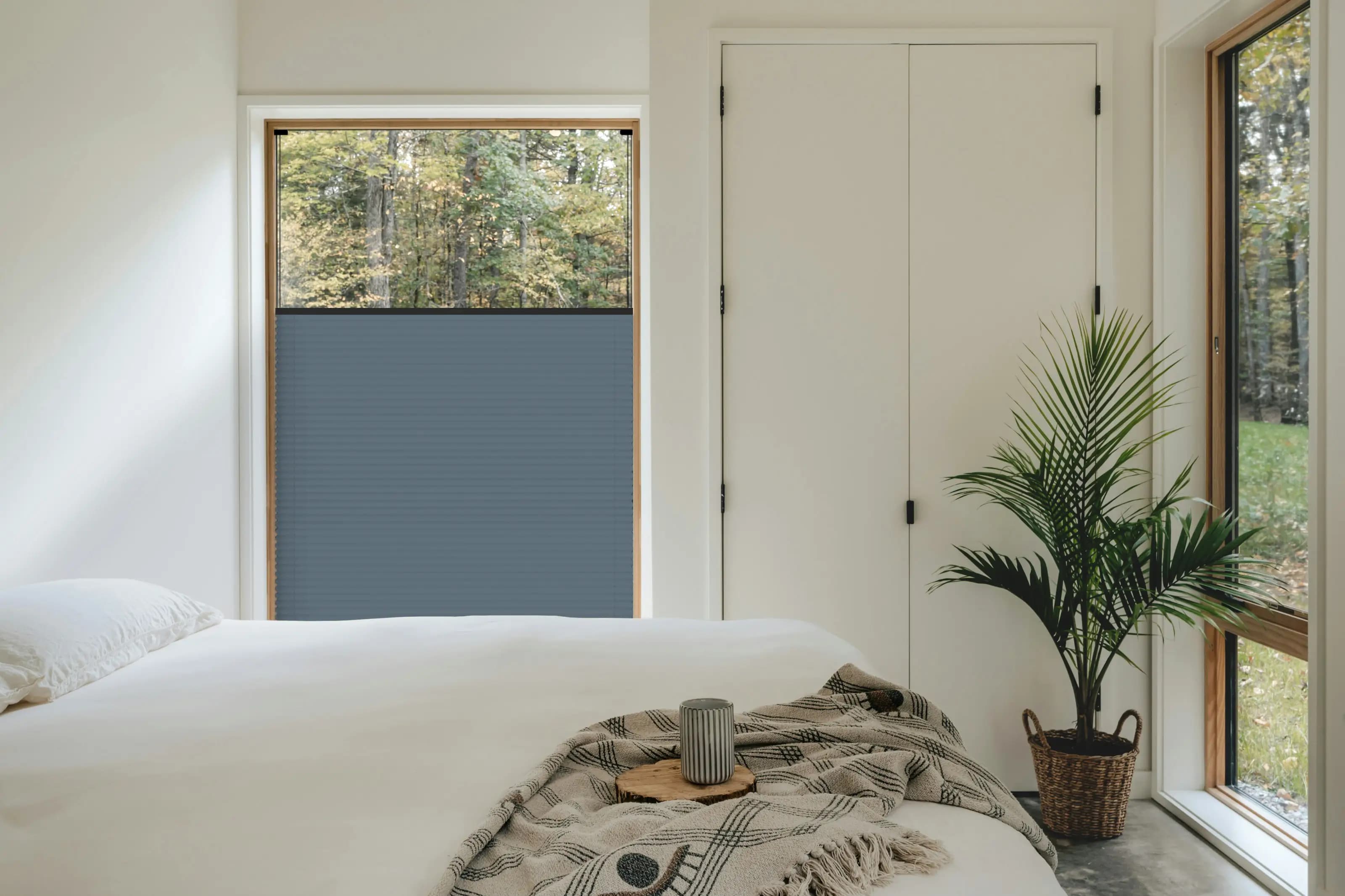 Seabreeze BO + schwarzes mattes Profil