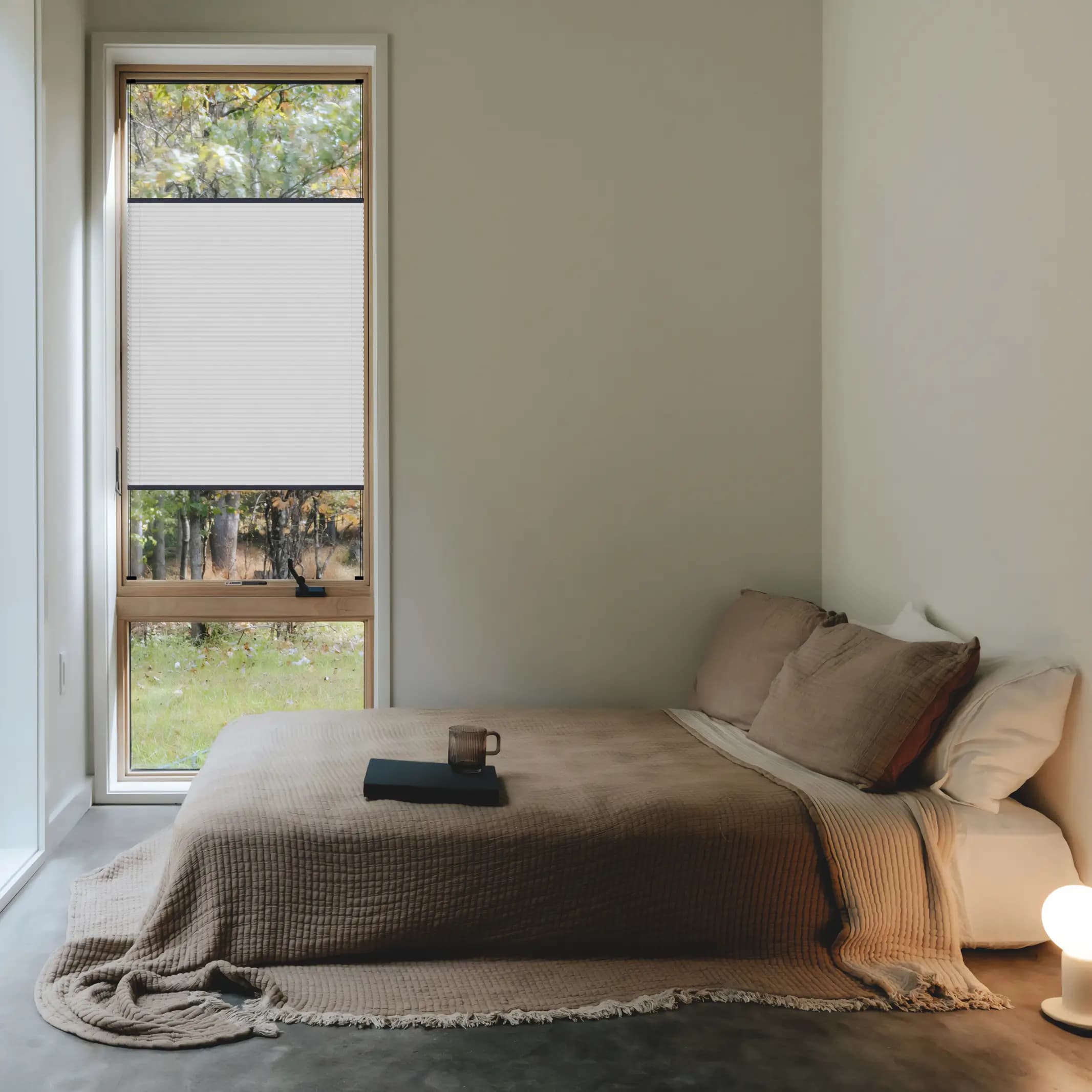 Snowfall BO + anthracite profile