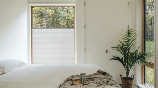 Silver Birch + anthrazitfarbenes Profil