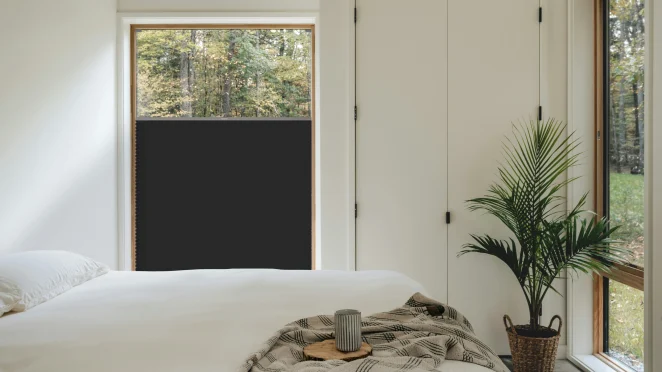 Midnight Stone BlackOut + silbernes Profil