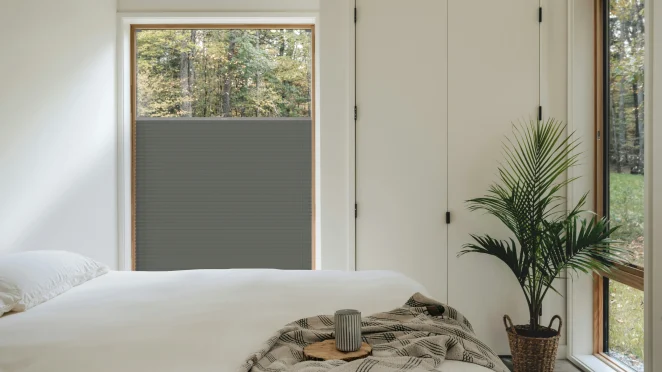 Olive Grove BlackOut + silbernes Profil