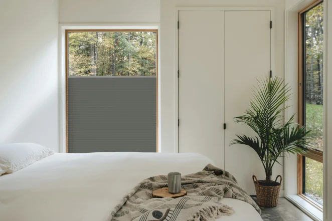 Olive Grove BlackOut + silbernes Profil