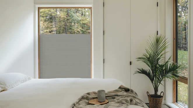 Sandstone BlackOut + silbernes Profil