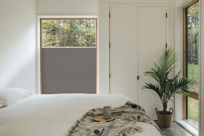 Ashwood BlackOut + weißes Profil